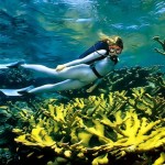 neoprene underwater
