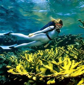 neoprene underwater