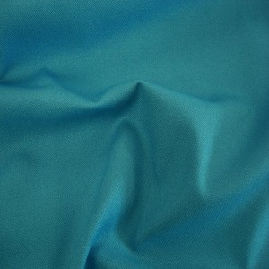 Turquoise Cotton Canvas