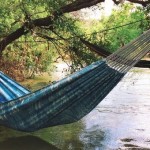 Hammock Cotton Canvas
