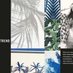 Fashion trends and sustainability