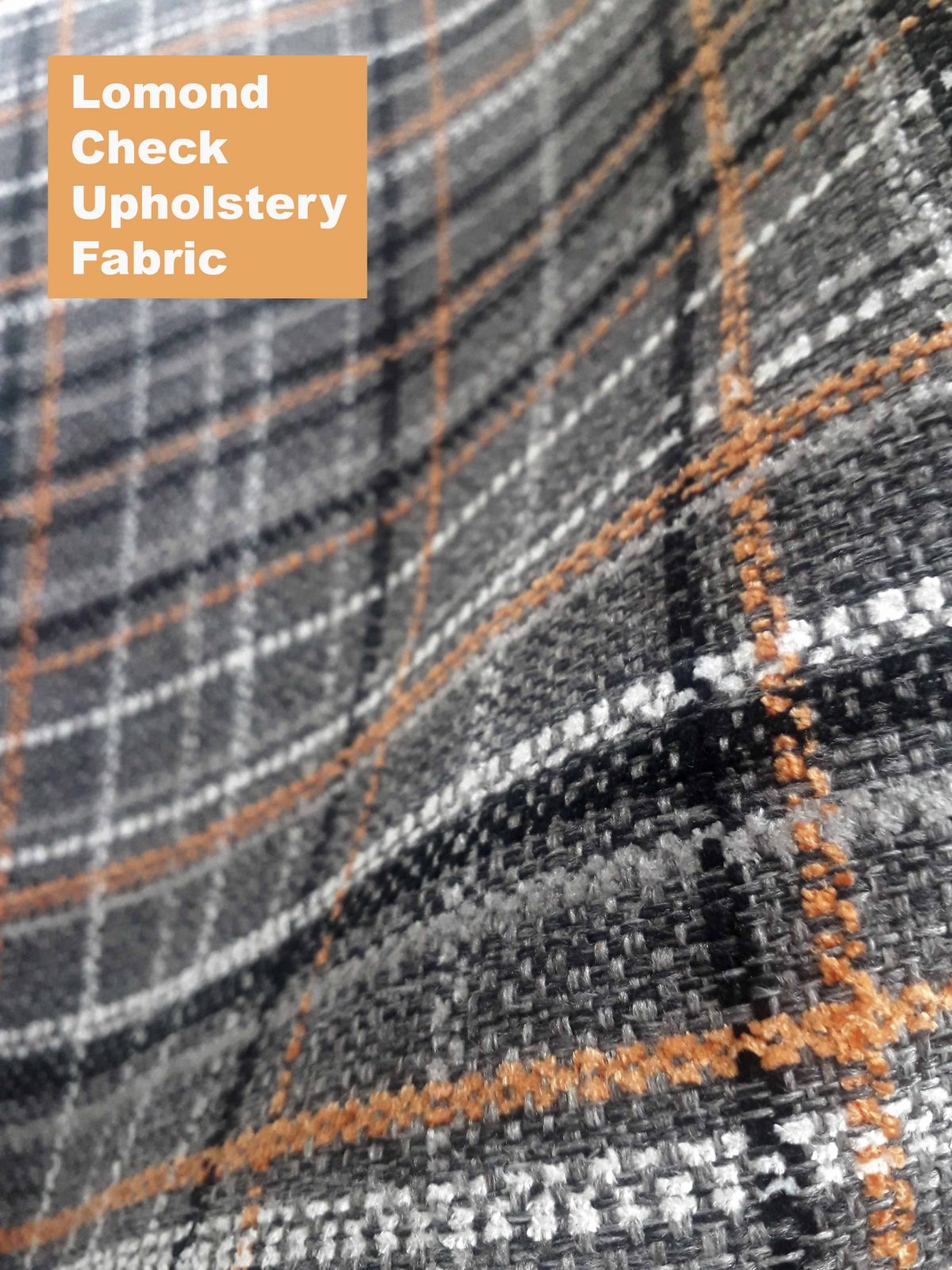 Lomond Check Upholstery Fabric